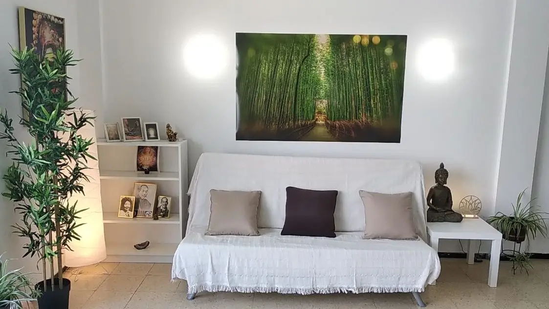 Sala de encuentro de Isla Reiki, con sofá, plantas y una imagen de un bosque de bambú
